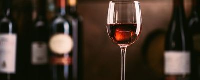 Vinhos 
